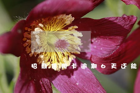 招商信用卡逾期6天还能用吗 招商信用卡逾期6天还能用吗