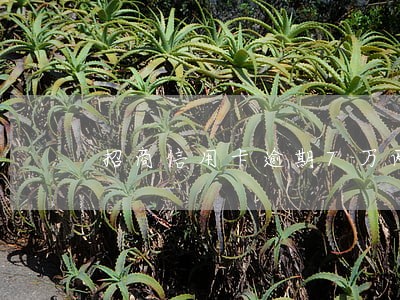 招商信用卡逾期7万两年 招商信用卡逾期7万两年
