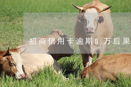 招商信用卡逾期8万后果 招商信用卡逾期8万后果