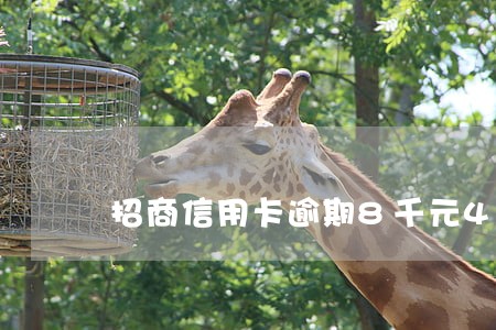 招商信用卡逾期8千元4个月 招商信用卡逾期8千元4个月