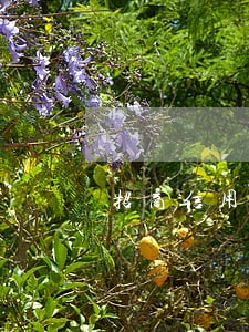 招商信用卡逾期8天已冻结