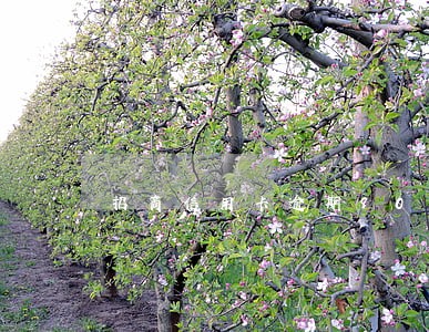 招商信用卡逾期90天还能解冻吗 招商信用卡逾期90天还能解冻吗