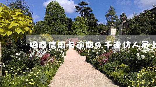 招商信用卡逾期9千走访人员上门 招商信用卡逾期9千走访人员上门