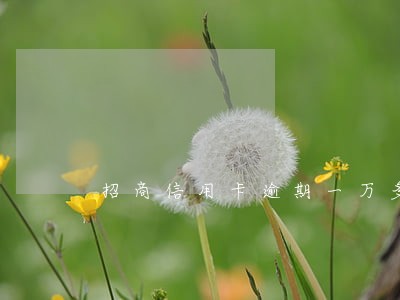 招商信用卡逾期一万多会怎样 招商信用卡逾期一万多会怎样