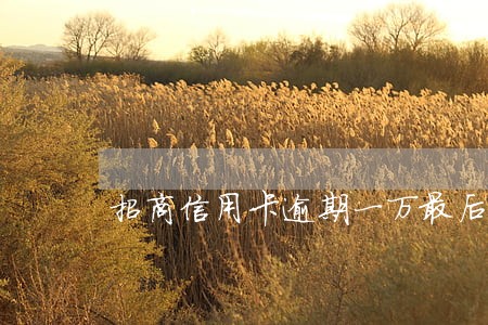 招商信用卡逾期一万最后通牒 招商信用卡逾期一万最后通牒