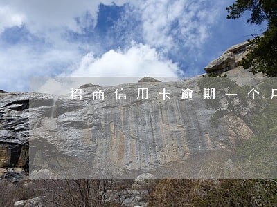 招商信用卡逾期一个月冻结 招商信用卡逾期一个月冻结