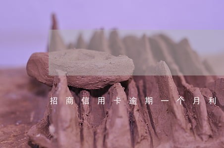 招商信用卡逾期一个月利息多少 招商信用卡逾期一个月利息多少