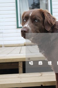 招商信用卡逾期一个月半 招商信用卡逾期一个月半