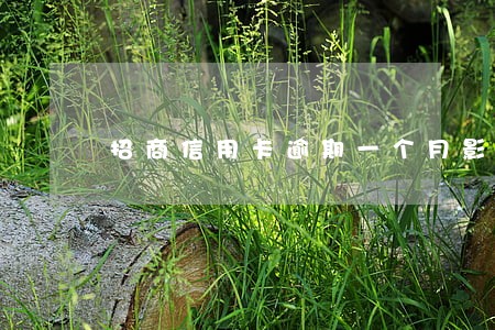 招商信用卡逾期一个月影响 招商信用卡逾期一个月影响