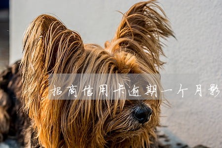 招商信用卡逾期一个月影响吗 招商信用卡逾期一个月影响吗