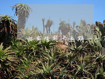招商信用卡逾期一个月怎么办呢 招商信用卡逾期一个月怎么办呢