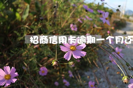 招商信用卡逾期一个月还能用吗