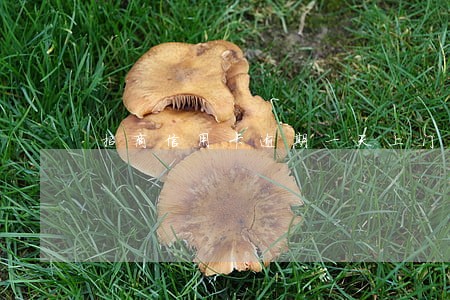 招商信用卡逾期一天上门催款 招商信用卡逾期一天上门催款