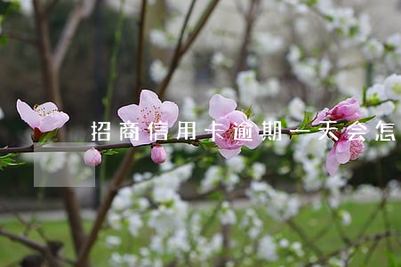招商信用卡逾期一天会怎样 招商信用卡逾期一天会怎样
