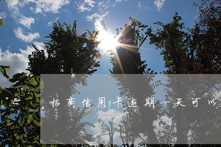 招商信用卡逾期一天可以上征信吗 招商信用卡逾期一天可以上征信吗