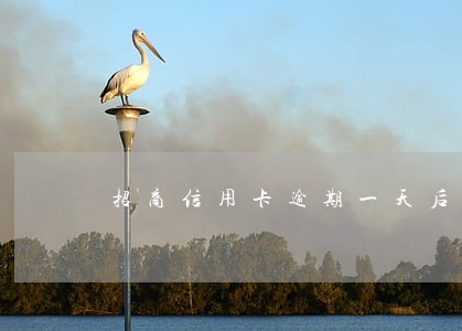 招商信用卡逾期一天后果 招商信用卡逾期一天后果