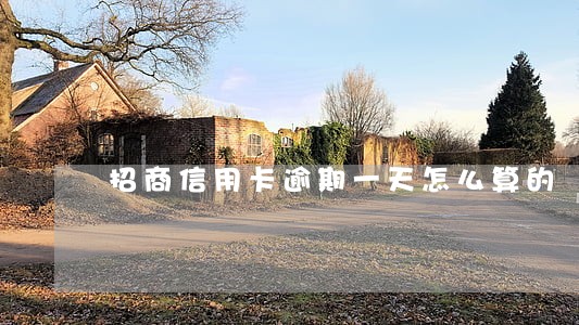 招商信用卡逾期一天怎么算的 招商信用卡逾期一天怎么算的