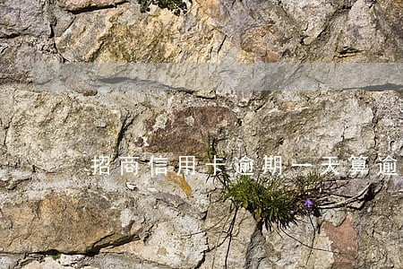 招商信用卡逾期一天算逾期 招商信用卡逾期一天算逾期