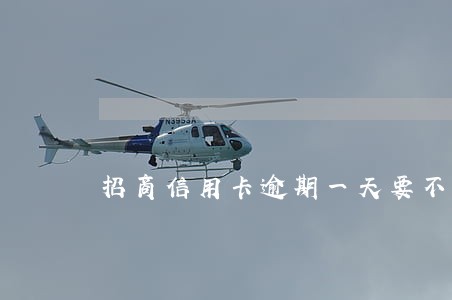 招商信用卡逾期一天要不要紧 招商信用卡逾期一天要不要紧