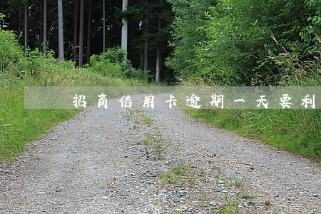 招商信用卡逾期一天要利息 招商信用卡逾期一天要利息