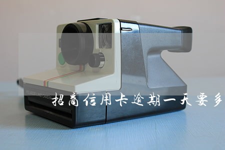 招商信用卡逾期一天要多少钱