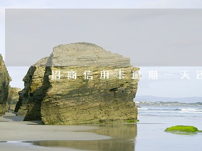 招商信用卡逾期一天还款