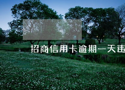 招商信用卡逾期一天违约金 招商信用卡逾期一天违约金