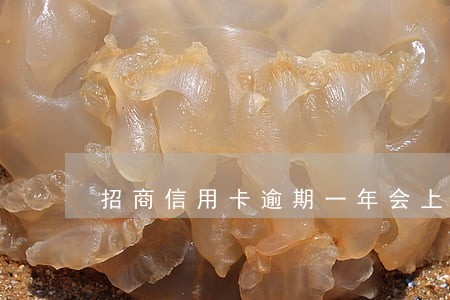 招商信用卡逾期一年会上门吗 招商信用卡逾期一年会上门吗