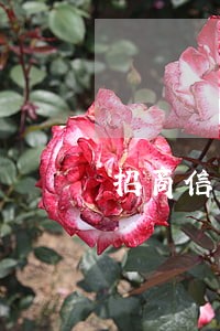 招商信用卡逾期一年多 招商信用卡逾期一年多