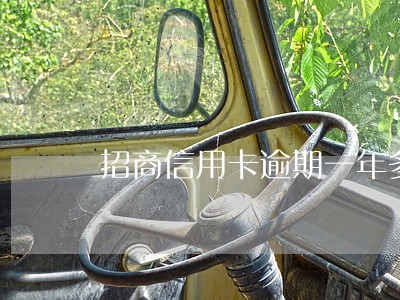 招商信用卡逾期一年多的