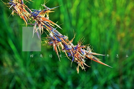 招商信用卡逾期一年怎么去协商 招商信用卡逾期一年怎么去协商
