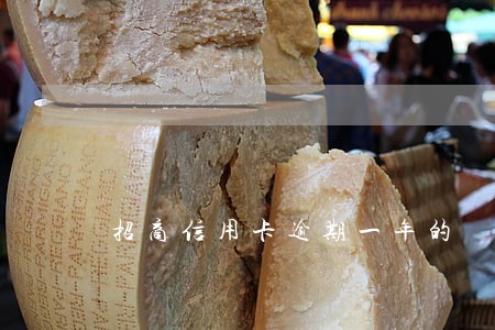 招商信用卡逾期一年的 招商信用卡逾期一年的