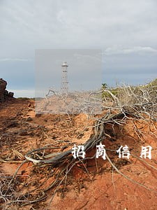 招商信用卡逾期一星期怎么办 招商信用卡逾期一星期怎么办