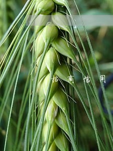 招商信用卡逾期一次会怎么样 招商信用卡逾期一次会怎么样