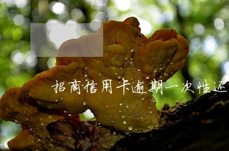 招商信用卡逾期一次性还清了 招商信用卡逾期一次性还清了