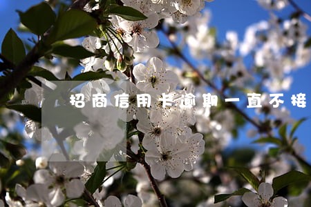 招商信用卡逾期一直不接电话