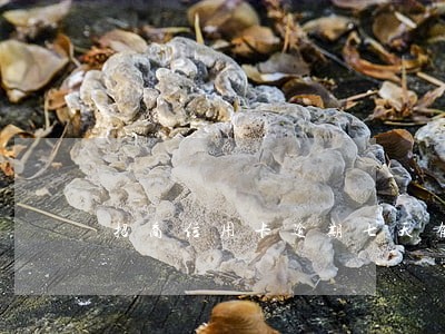 招商信用卡逾期七天有没有事