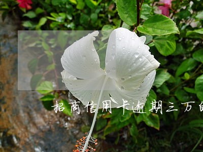 招商信用卡逾期三万的处理方法 招商信用卡逾期三万的处理方法