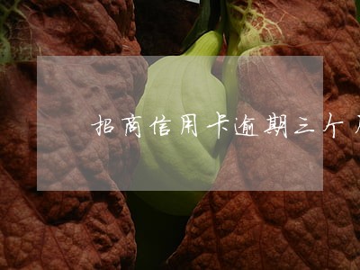 招商信用卡逾期三个月8万