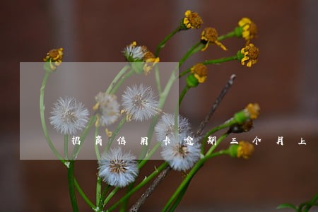 招商信用卡逾期三个月上门取证