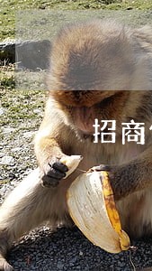 招商信用卡逾期三个月不打电话了 招商信用卡逾期三个月不打电话了