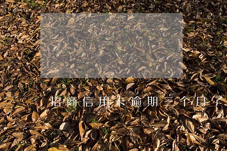 招商信用卡逾期三个月了 招商信用卡逾期三个月了