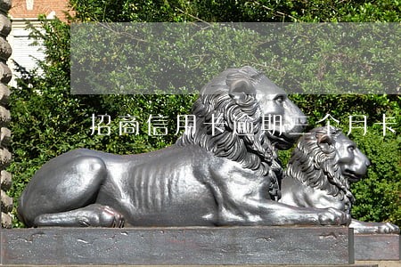 招商信用卡逾期三个月卡被冻结 招商信用卡逾期三个月卡被冻结