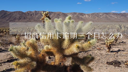 招商信用卡逾期三个月怎么办