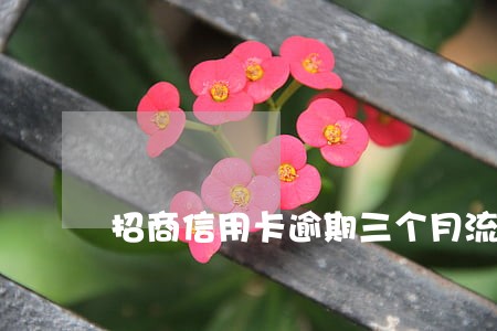 招商信用卡逾期三个月流程 招商信用卡逾期三个月流程