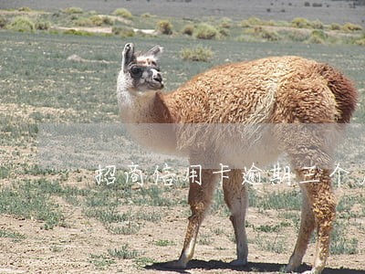 招商信用卡逾期三个月被停卡 招商信用卡逾期三个月被停卡
