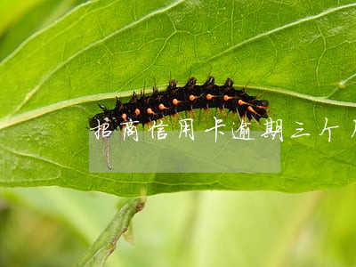 招商信用卡逾期三个月被投诉 招商信用卡逾期三个月被投诉