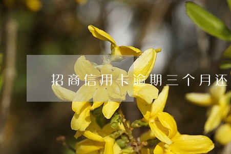 招商信用卡逾期三个月还清 招商信用卡逾期三个月还清