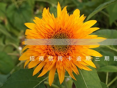 招商信用卡逾期三期账单会怎么样