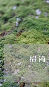 招商信用卡逾期上哪投诉 招商信用卡逾期上哪投诉